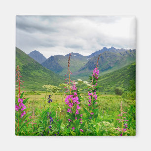 Alaska-Tal-Wildblumen Magnet