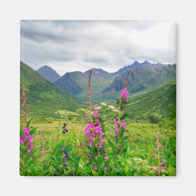 Alaska-Tal-Wildblumen Magnet (Vorne)