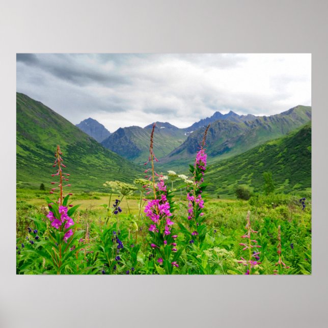Alaska-Tal-Wildblumen Poster (Vorne)