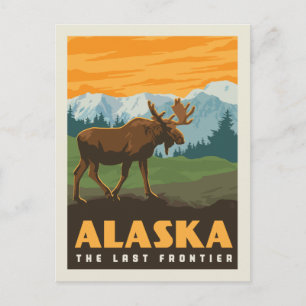 Alaska   The Last Frontier - Moose Postkarte