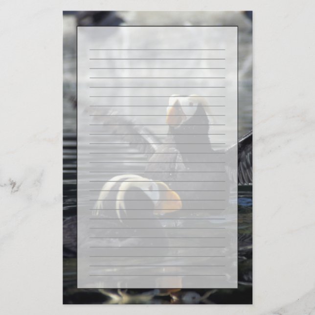 Alaska Tufted Puffins Briefpapier (Vorderseite)