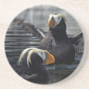 Alaska Tufted Puffins Getränkeuntersetzer