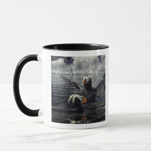 Alaska Tufted Puffins Tasse (Links)