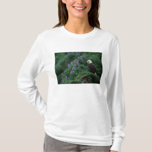 Alaska, Unalaska-Insel Weißkopfseeadler unter Noot T-Shirt