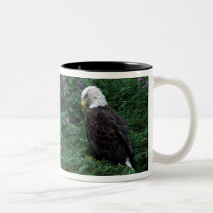 Alaska, Unalaska-Insel Weißkopfseeadler unter Noot Zweifarbige Tasse