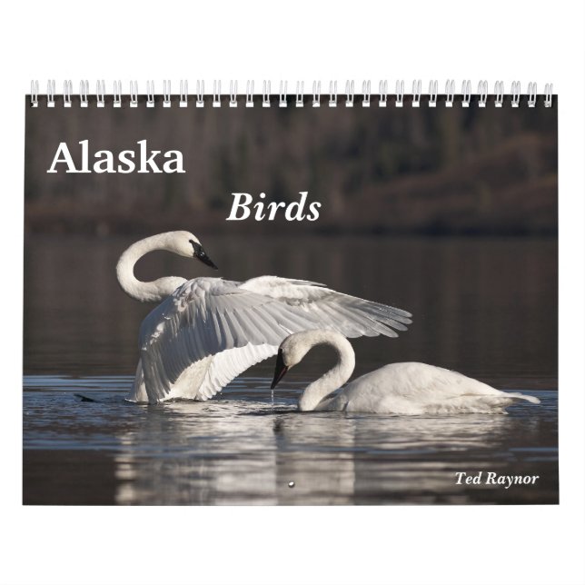 Alaska-Vögel Kalender (Titelbild)