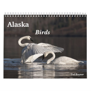 Alaska-Vögel Kalender