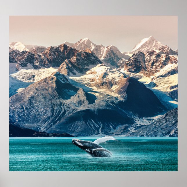 Alaska Walbeobachtung: Bootsausflug. Poster (Vorne)