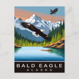 Alaska, Weißkopfseeadler, Reisen Postkarte