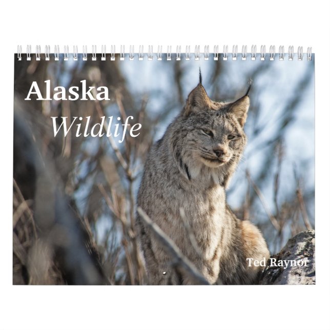 Alaska-wild lebende Tiere Kalender (Titelbild)