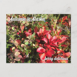 Alaska Wildberry Postcard Postkarte