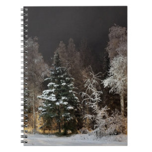 Alaska Winter Night Spiral Foto Notebook Notizblock