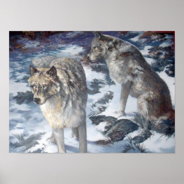 Alaska Wolf Pair während des Winterposters Poster (Vorne)