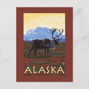 AlaskaCaribbean Vintage Travel Poster Postkarte