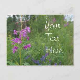 Alaskafireweed-Wildblume Postkarte
