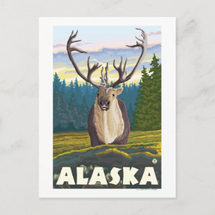 AlaskaKaribik im Wilden Vintage Postkarte