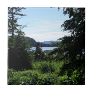 Alaskalandschaft Schöne Alaska-Fotografie Fliese