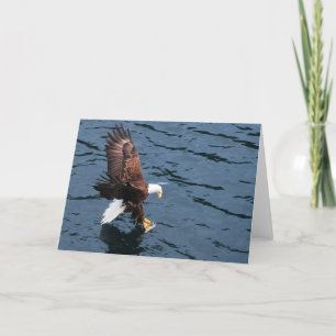 Alaskan Adler im Wasser Karte