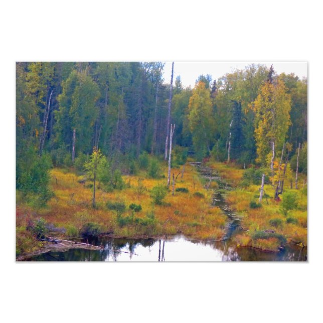 Alaskan Adventure - Landschaft #6 Fotodruck (Vorne)