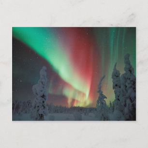Alaskan Aurora Borealis Postkarte