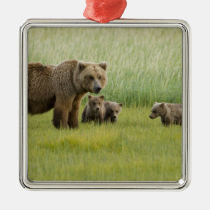 Alaskan Brown Bären Sow und drei Cubs, Ursus Silbernes Ornament