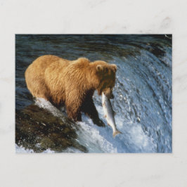 Alaskan Brown Bear Fangen von Lachs bei Brooks Postkarte
