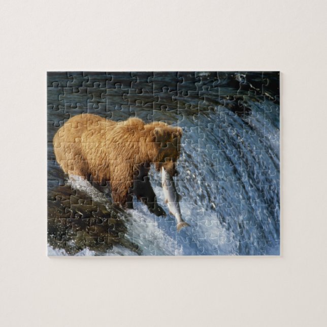 Alaskan Brown Bear Fangen von Lachs bei Brooks Puzzle (Horizontal)