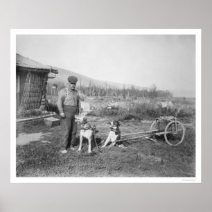 Alaskan Dog Cart Transport 1916 Poster