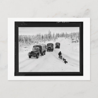 Alaskan Dogsled & Army Trucks Postkarte