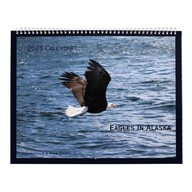 Alaskan Eagles Calendar Kalender (Titelbild)