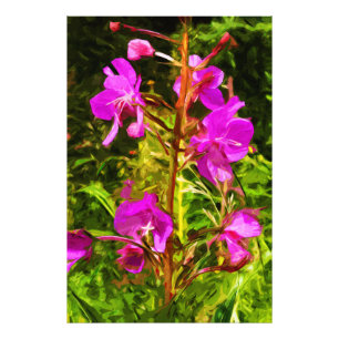 Alaskan Fireweed Pink Wildblume Abstrakt Fotodruck