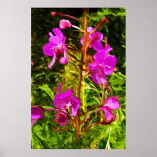 Alaskan Fireweed Pink Wildblume Abstrakt Poster