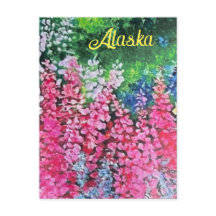 Alaskan Fireweed Postkarte