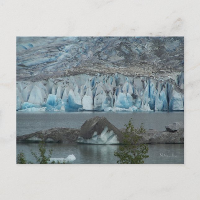 Alaskan Glacier Postkarte (Vorderseite)
