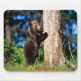 Alaskan Grizzly Bear Cub Mouse Pad Mousepad