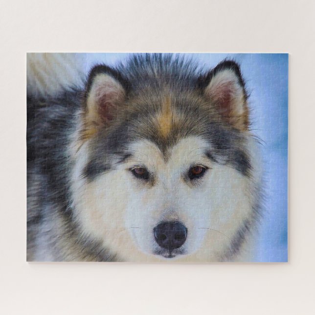 Alaskan Huskey Dog. Puzzle (Horizontal)