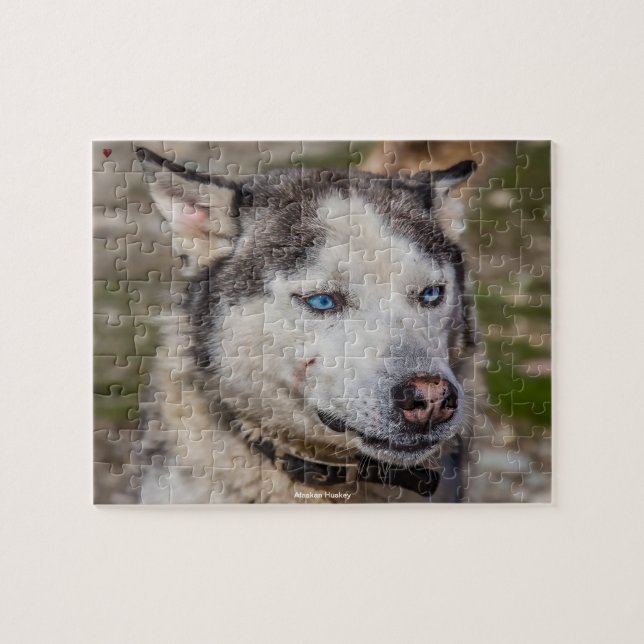 Alaskan Huskey Puzzle (Horizontal)