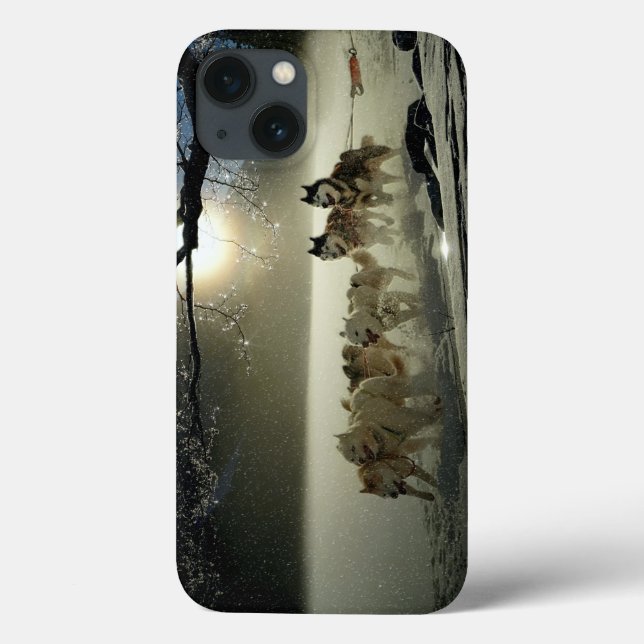 Alaskan Husky Dog Sled Race Case-Mate iPhone Hülle (Rückseite)