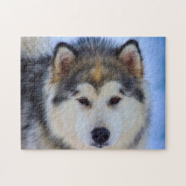 Alaskan Husky Hund. Puzzle (Horizontal)
