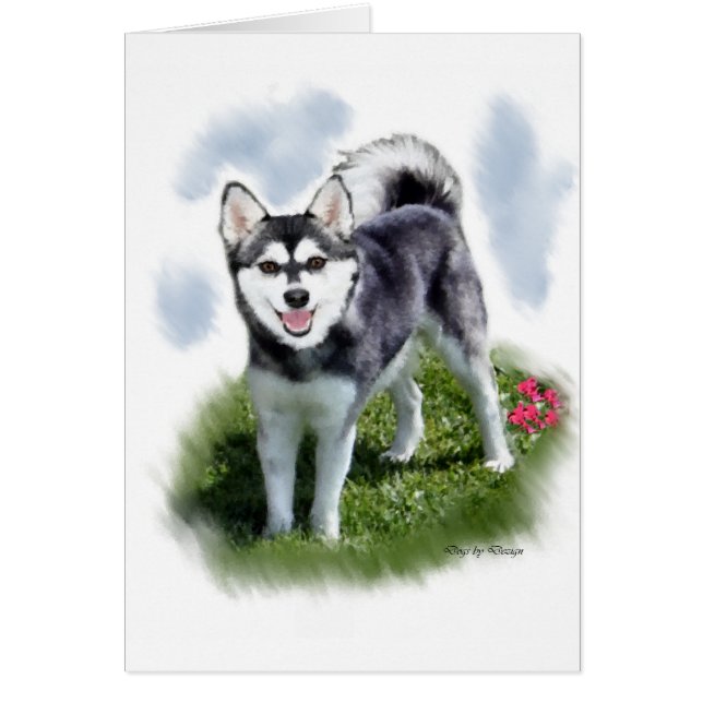 Alaskan Klee Kai Art (Vorne)