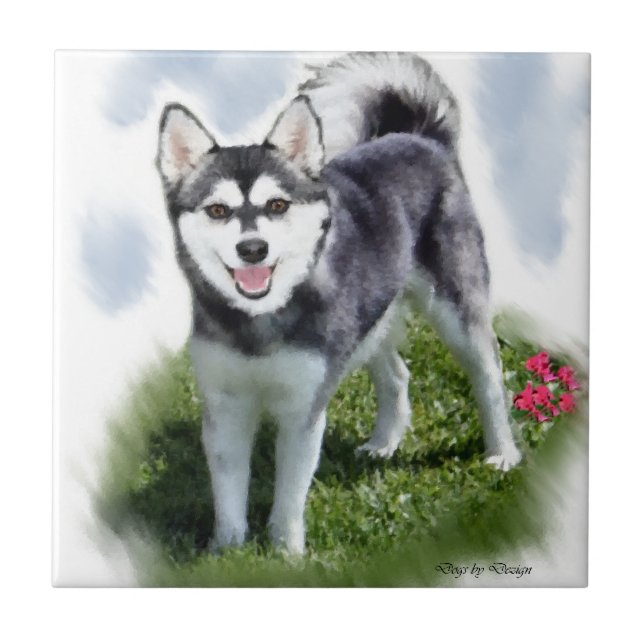 Alaskan Klee Kai Art Fliese (Vorderseite)