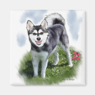 Alaskan Klee Kai Art Magnet
