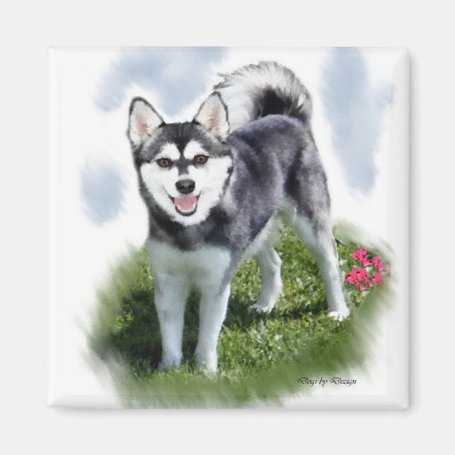 Alaskan Klee Kai Art Magnet (Vorne)