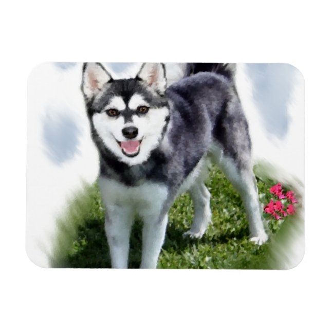 Alaskan Klee Kai Art Magnet (Horizontal)