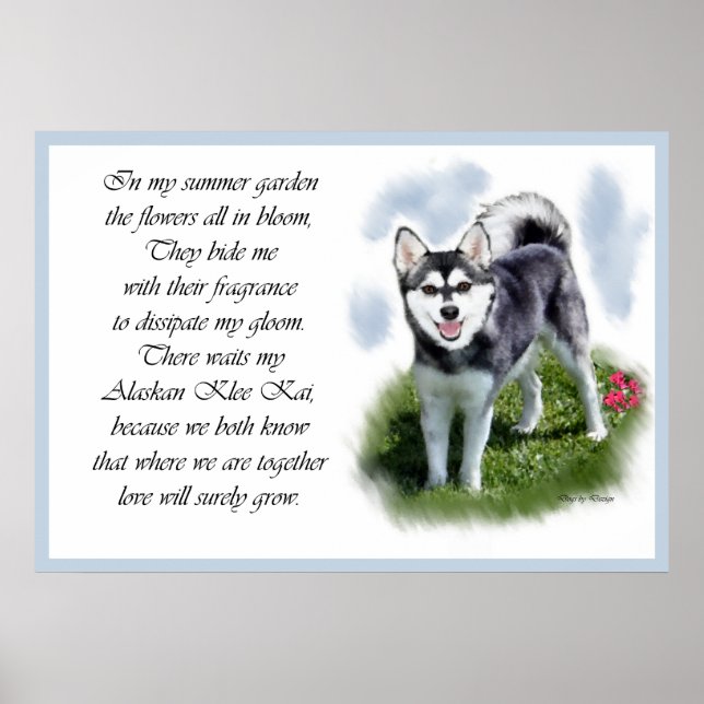 Alaskan Klee Kai Art Poster (Vorne)