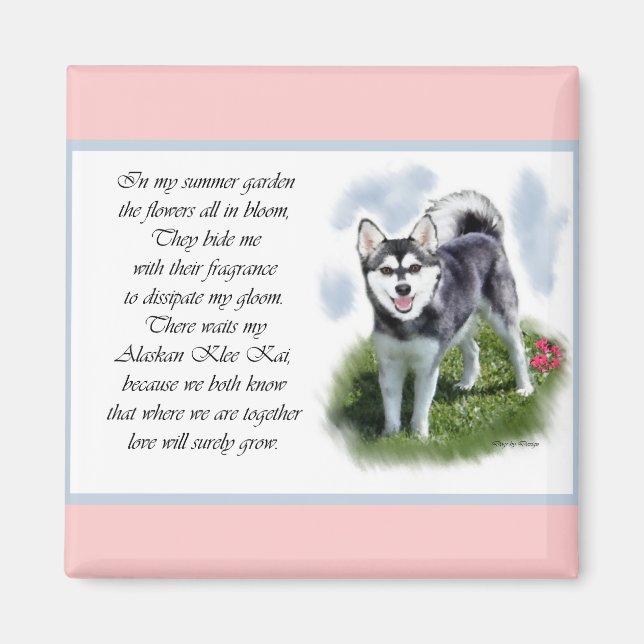 Alaskan Klee Kai Gifts Magnet (Vorne)