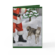Alaskan Klee Kai Weihnachtsgeschenken
