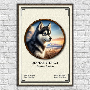Alaskan Klee Kai Zoologie-Serie Poster