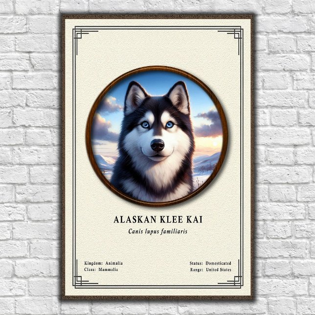 Alaskan Klee Kai Zoologie Serie Poster (Von Creator hochgeladen)