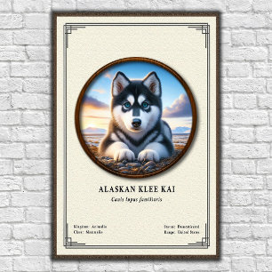 Alaskan Klee Kai Zoologie-Serie Poster